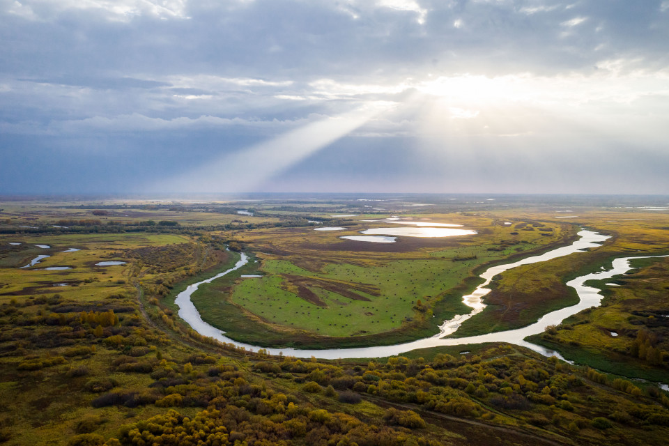 Васюганская равнина фото