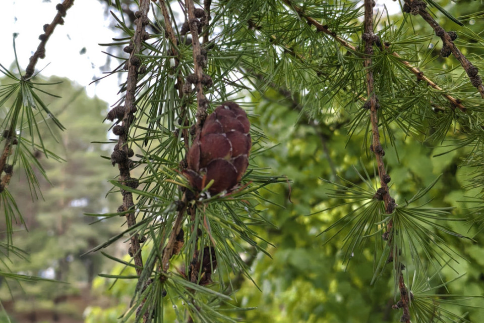 Фото: Шойдопова Вероника