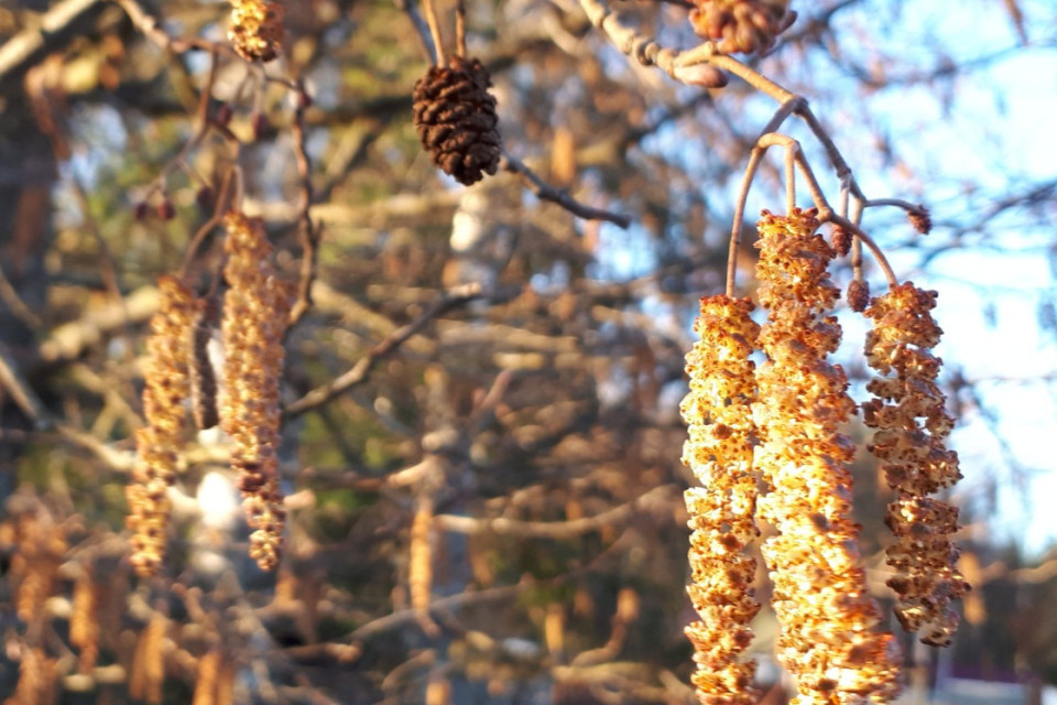 Автор фото: Проскурякова Дарья Николаевна