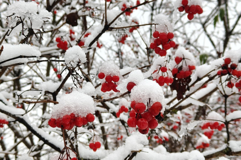 Фото: Рудая Софья