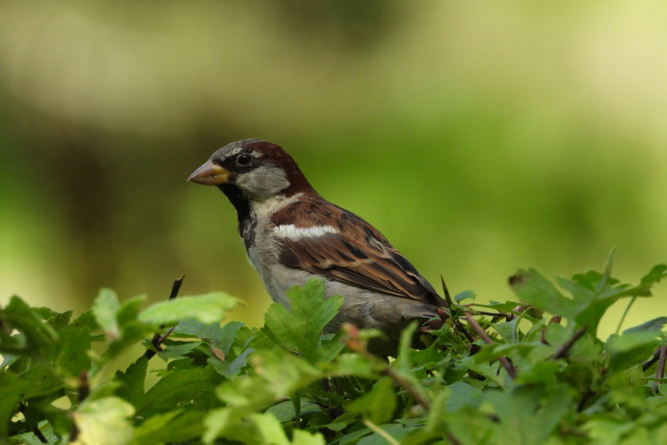 Автор фото: Владимир Николаевич Джерихов