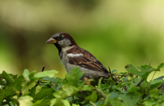 Автор фото: Владимир Николаевич Джерихов